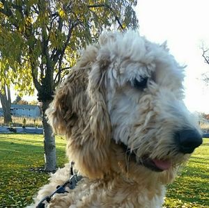 Meet your Posher, Mia